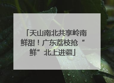 天山南北共享岭南鲜甜！广东荔枝抢“鲜”北上进疆